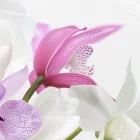 当葬儀場の特徴